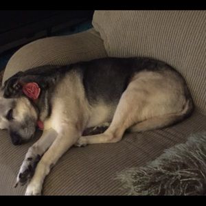 Meet your Posher, Marilyn